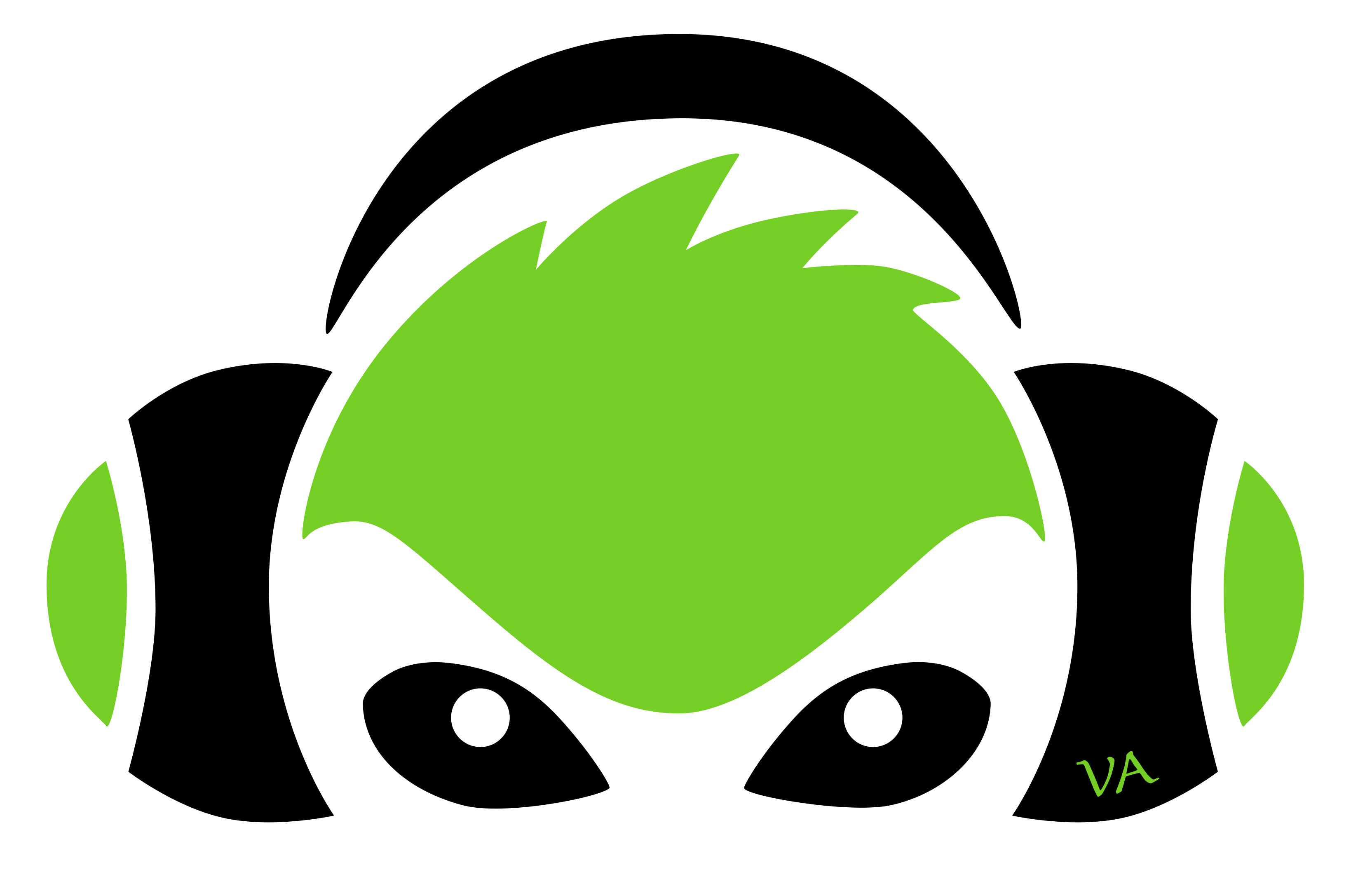 Logo for Vision Acoustics LLC